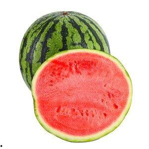 网红大瓜下载 网红大瓜排行,大瓜下载排行，热门网红幕后故事大盘点