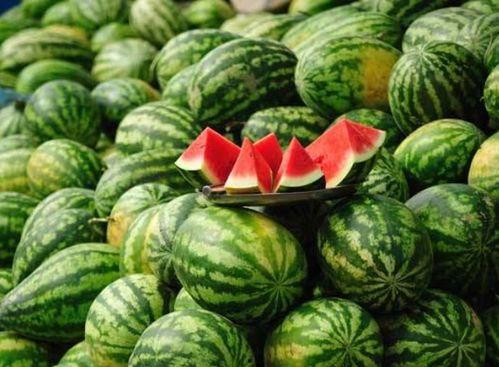 网红大瓜下载 网红大瓜排行,大瓜下载排行，热门网红幕后故事大盘点